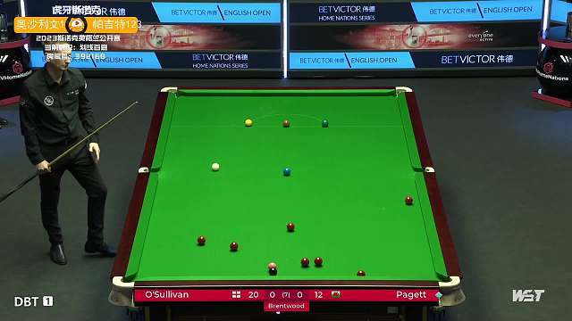 团队篮球的 团队篮球的